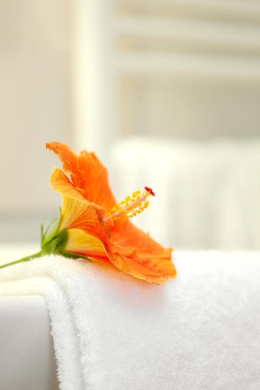 Hotel Le Clos Roussillon Pres De Sarlat Vitrac  Ruang foto